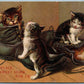 CATS IN OLD BOOTS ANTIQUE POSTCARD