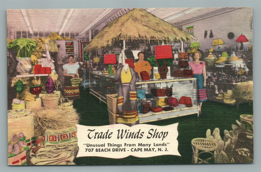CAPE MAY NJ TRADE WINDS SHOP VINTAGE POSTCARD