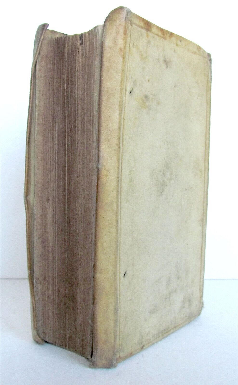 1588 LAW BOOK PARATITLA IACOBI CUIACII antique Jacques Cujas in LATIN vellum