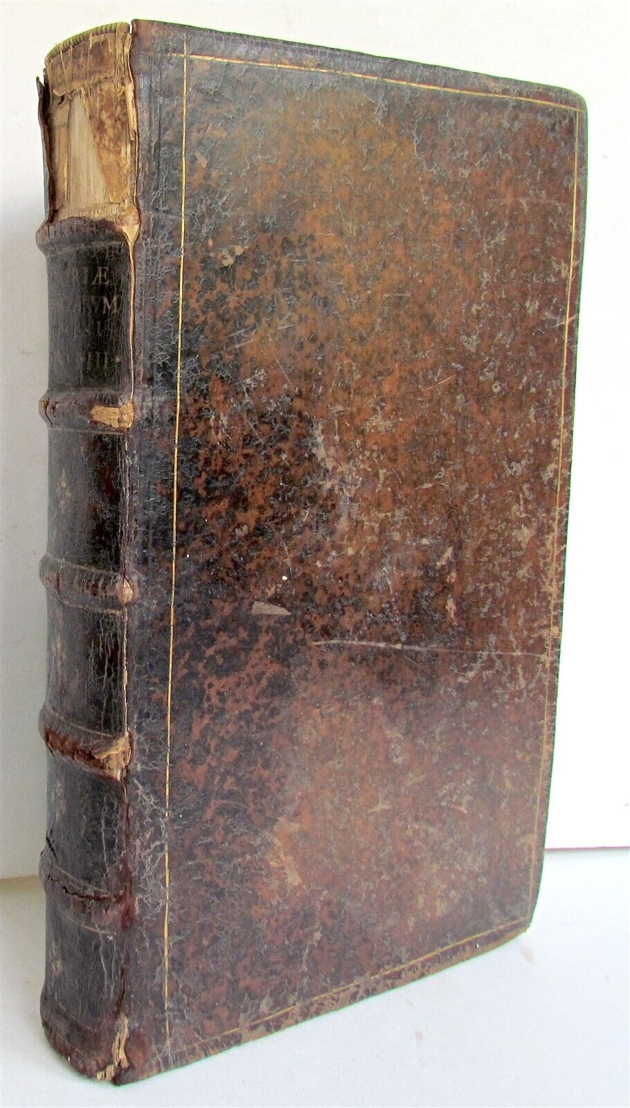 1651 HISTORIAE PLANTARUM UNIVERSALIS v.3 by J. Bauhin antique BOTANY ILLUSTRATED