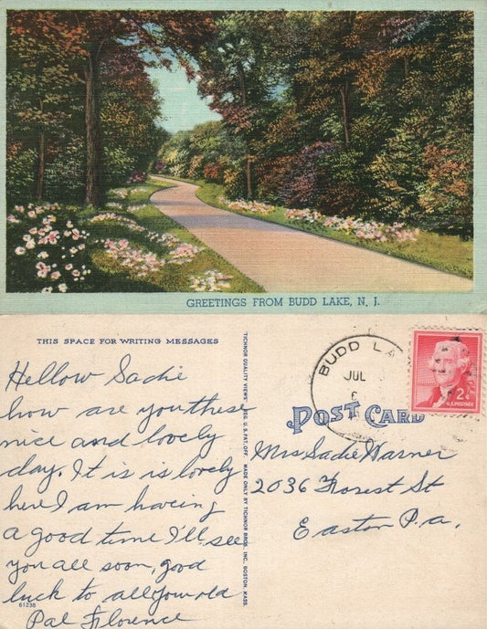 GREETINGS FROM BUDD LAKE N.J. VINTAGE POSTCARD