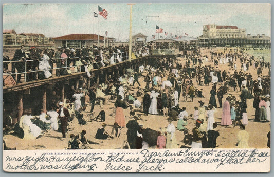 WILDWOOD NJ HEIGHT OF THE SEASON ANTIQUE POSTCARD