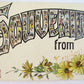 ANTIQUE POSTCARD SOUVENIR FROM NEWTON N.J.