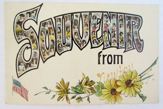 ANTIQUE POSTCARD SOUVENIR FROM NEWTON N.J.