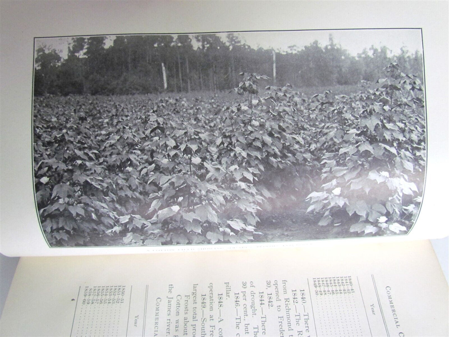 1908 KING COTTON HISTORICAL & STATISTICAL REVIEW J. WATKINS antique ILLUSTRATED