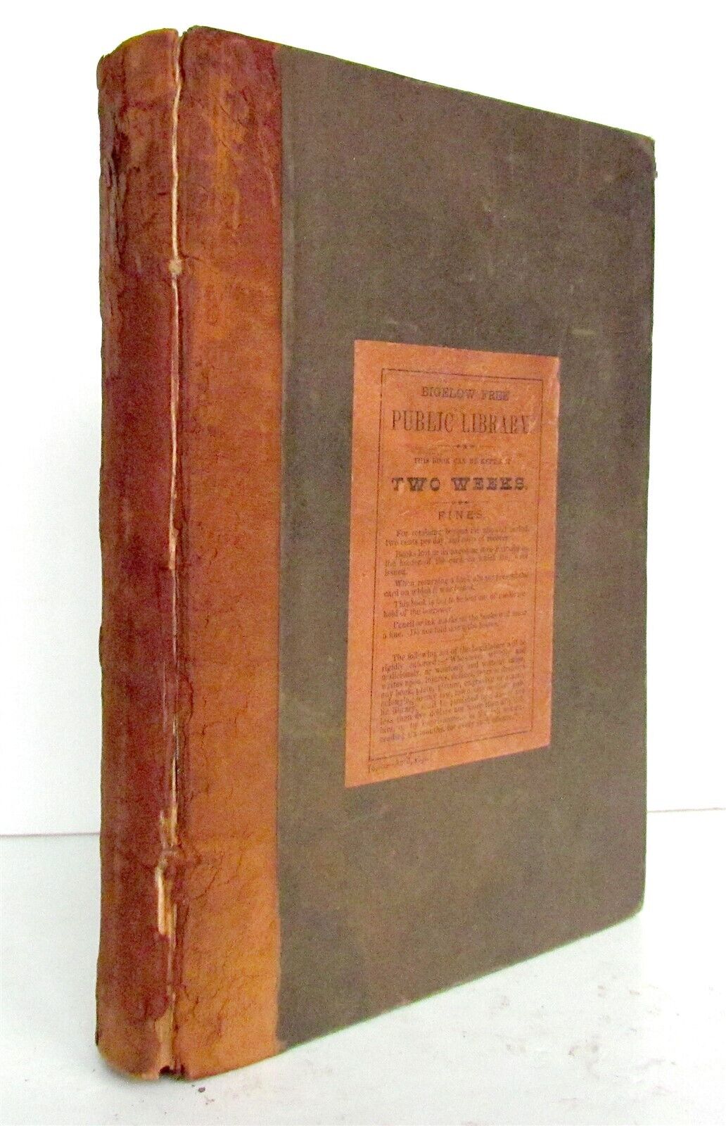 1880 WHAT MR. DARWIN SAW IN HIS VOYAGE ROUND THE WORLD IN SHIP BEAGLE ANTIQUE