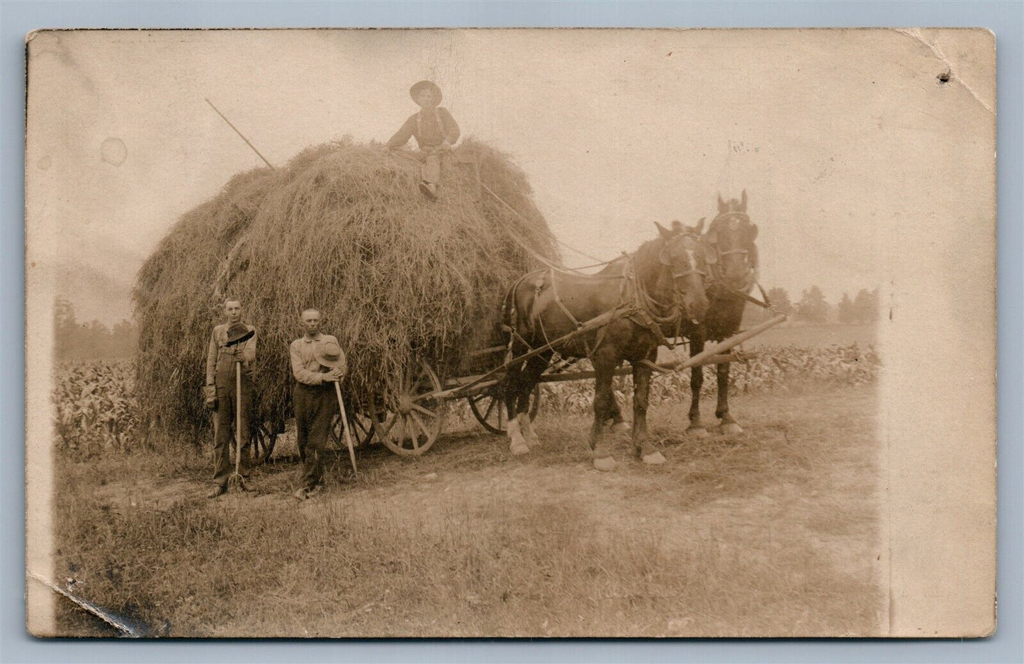 GOLON OH FARM SCENE 1908 ANTIQUE REAL PHOTO POSTCARD RPPC