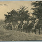 ARTILLERY ON A HIKE ANTIQUE POSTCARD