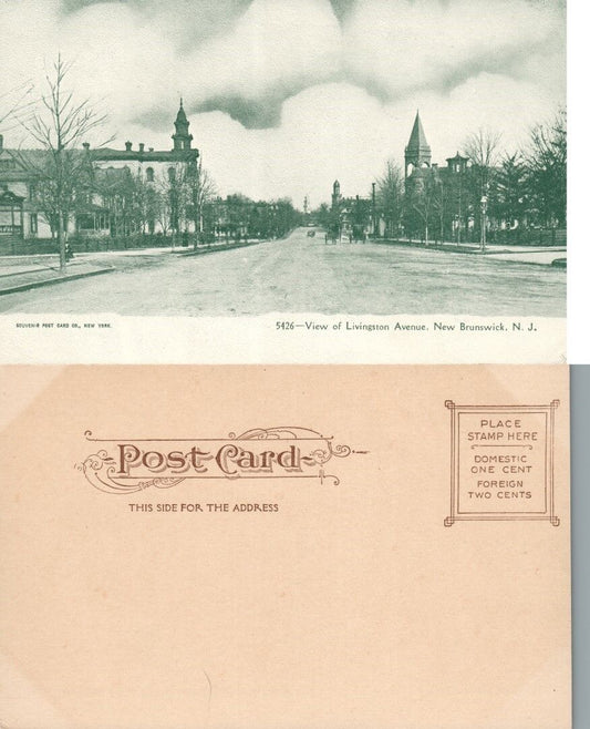 NEW BRUNSWICK N.J. LIVINGSTON AVENUE UNDIVIDED ANTIQUE POSTCARD