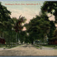 OGDENSBURG NY WASHINGTON STREET ANTIQUE POSTCARD