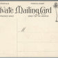 HAWAIIAN ISLANDS COTTAGE HOME ANTIQUE POSTCARD PRIVATE MAILING CARD