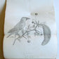 1790 AFRICA TRAVELS Voyages dans le pays des Hottentots ILLUSTRATED antique RARE