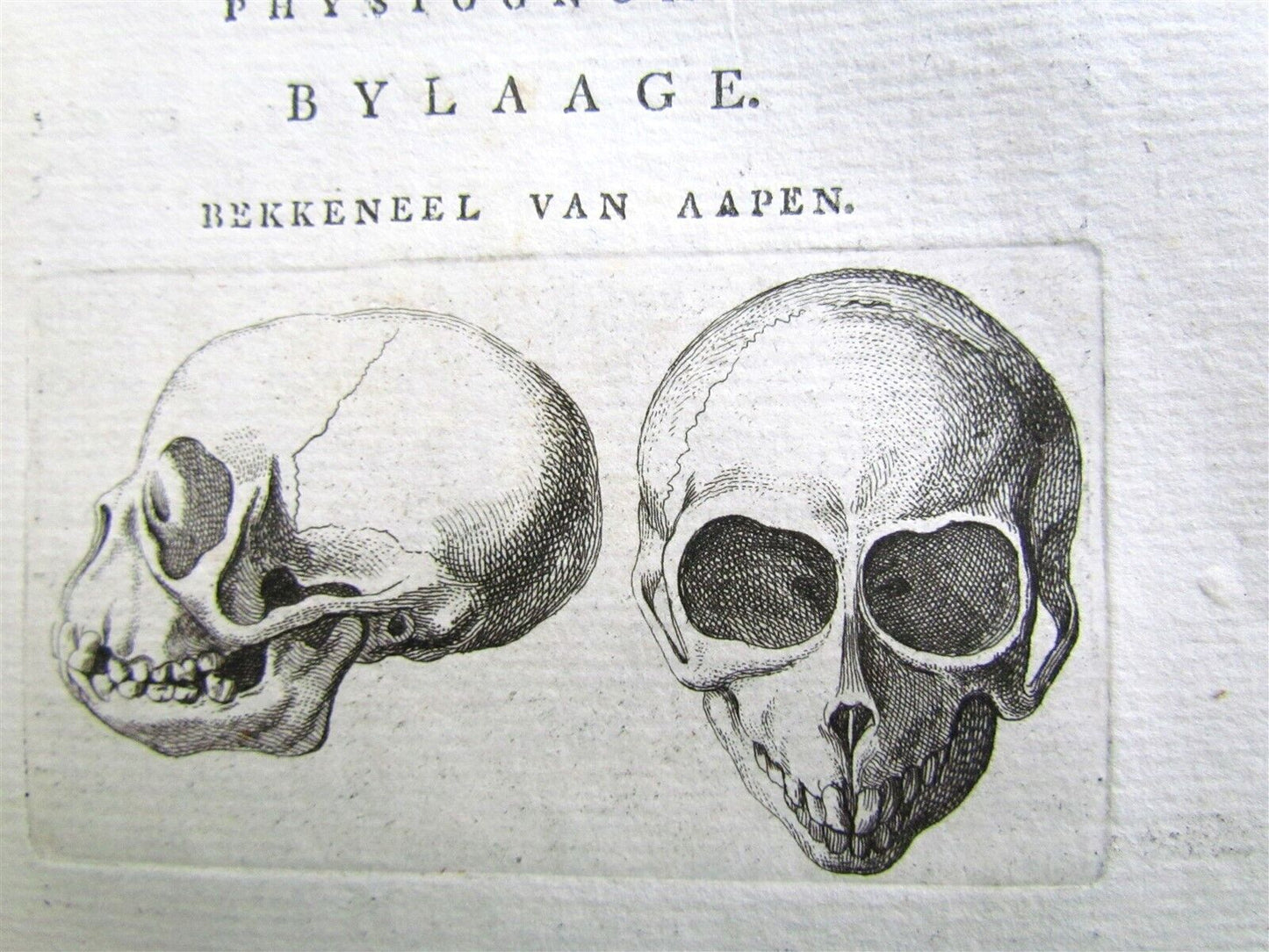 1781 4 volumes PHYSIOGNOMY ILLUSTRATED 18th century antique set