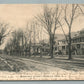 ROSELLE PARK NJ CHESTNUT STREET ANTIQUE POSTCARD