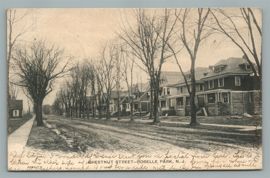 ROSELLE PARK NJ CHESTNUT STREET ANTIQUE POSTCARD