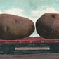 EXAGGERATED CARLOAD OF POTATO ANTIQUE POSTCARD