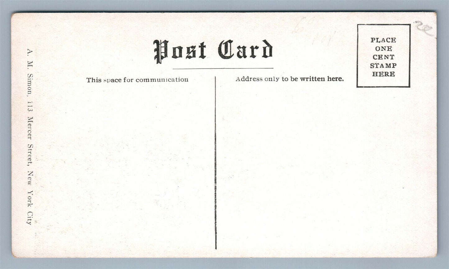 ANNANDALE NJ WEST STREET ANTIQUE POSTCARD