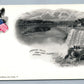 NIAGARA AMERICAN FALLS FROM GOAT ISLAND ANTIQUE POSTCARD by ARTHUR LIVINGSTON