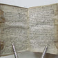 1565 POETRY Carminum nuptialium by Chr. Schellenberg ANTIQUE VELLUM 16th century