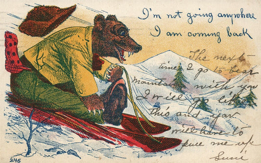 BEAR SKYING 1907 ANTIQUE POSTCARD