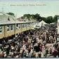 DANBURY CT FAIR MIDWAY ANTIQUE POSTCARD