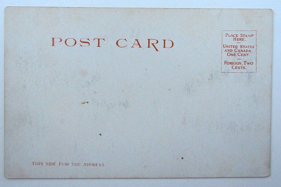 VINTAGE POSTCARD CURRECANTI NEEDLE BLACK CANYON GUNNISON COLO RAILROAD railway