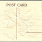 BOY JUST ARRIVED EMBOSSED ANTIQUE POSTCARD