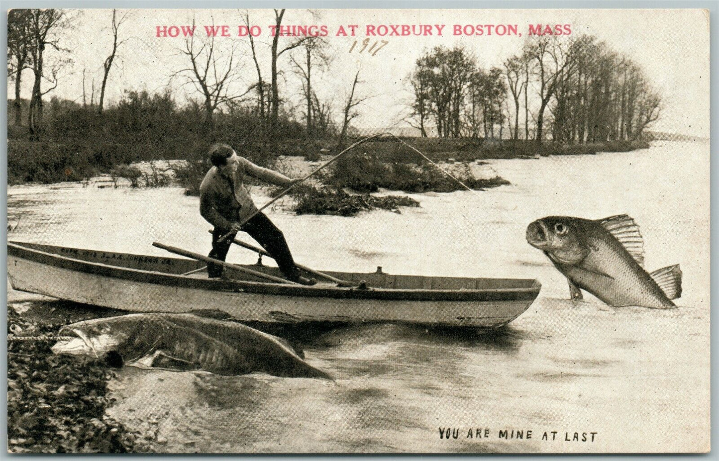 ROXBURY BOSTON MASS EXAGGERATED FISHING ANTIQUE POSTCARD