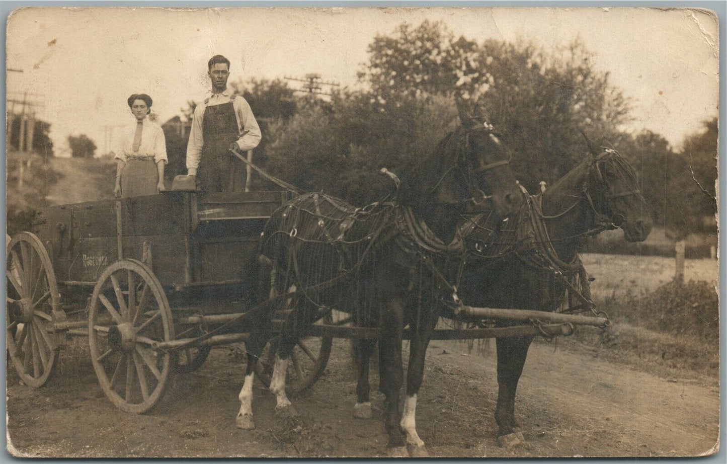 FAMILY COUPLE in HORSE DRAWN WAGON ANTIQUE REAL PHOTO POSTCARD RPPC