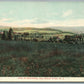 BOUND BROOK NJ HILLS OF MARTINSVILLE ANTIQUE POSTCARD