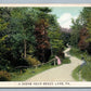 BEACH LAKE PA SCENE ANTIQUE POSTCARD