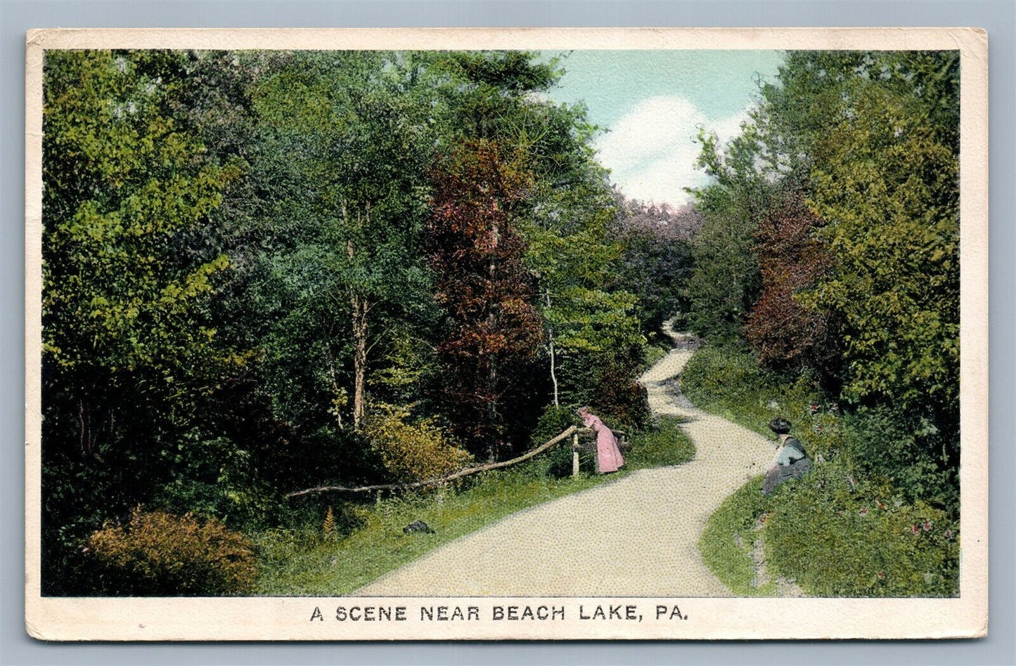 BEACH LAKE PA SCENE ANTIQUE POSTCARD