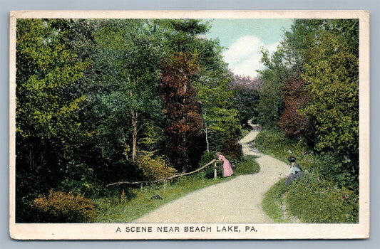 BEACH LAKE PA SCENE ANTIQUE POSTCARD