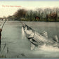 EXAGGERATED FISHING ANTIQUE POSTCARD THE FIRST FISH I CAUGHT