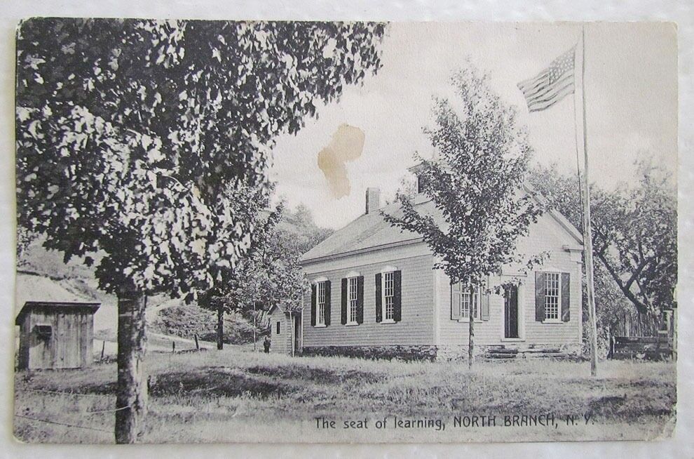 ANTIQUE POSTCARD THE SEAT OF LEARNING NORTH BRANCH N.Y.