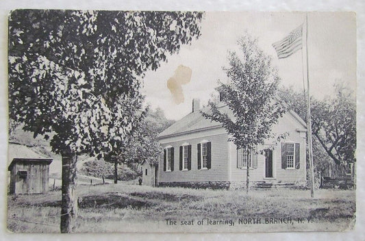 ANTIQUE POSTCARD THE SEAT OF LEARNING NORTH BRANCH N.Y.
