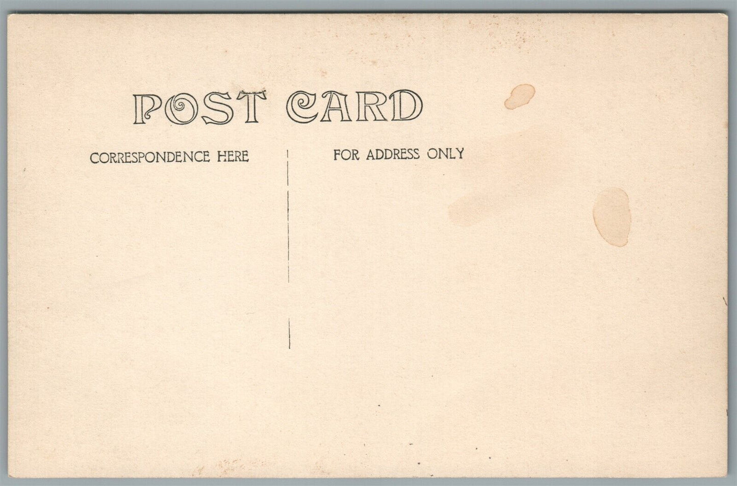 VILLAGE SCENE with PARROT ANTIQUE REAL PHOTO POSTCARD RPPC