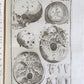 1717 2 VOLUMES ANATOMY ILLUSTRATED CORPORIS HUMANI ANATOMIAE antique in LATIN