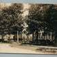 LAKEWOOD NJ LAUREL in the PINES STREET SCENE ANTIQUE REAL PHOTO POSTCARD RPPC