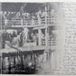 VINTAGE 1905 POSTCARD ATLANTIC CITY  NEW JERSYEY A NET HAUL FISHING
