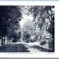 WASHINGTON NJ BELVIDERE AVE. ANTIQUE POSTCARD