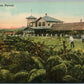 HAWAII VOLCANO HOUSE ANTIQUE POSTCARD