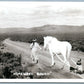 AMERICAN INDIANS HOMEWARD BOUND VINTAGE REAL PHOTO POSTCARD RPPC