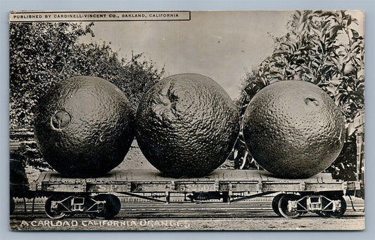 EXAGGERATED CALIFORNIA ORANGES ANTIQUE REAL PHOTO POSTCARD RPPC collage montage