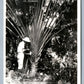 FLORIDA EXTRACTING WATER FROM TRAVELERS PALM VINTAGE REAL PHOTO POSTCARD RPPC