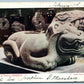 EL TIGRE MEXICO IDOLO DE PIEDRO ANTIQUE POSTCARD