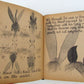 VINTAGE RARE 1933 DONKEY DONKEY AMERICAN ILLUSTRATED CHILDRENS BOOK 1st EDITION