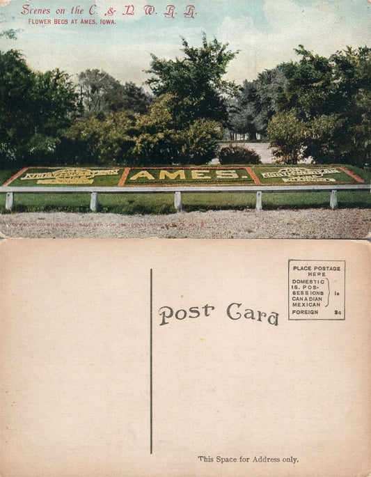 AMES IA FLOWER BEDS AT C. & N.W. RAILROAD railway ANTIQUE POSTCARD