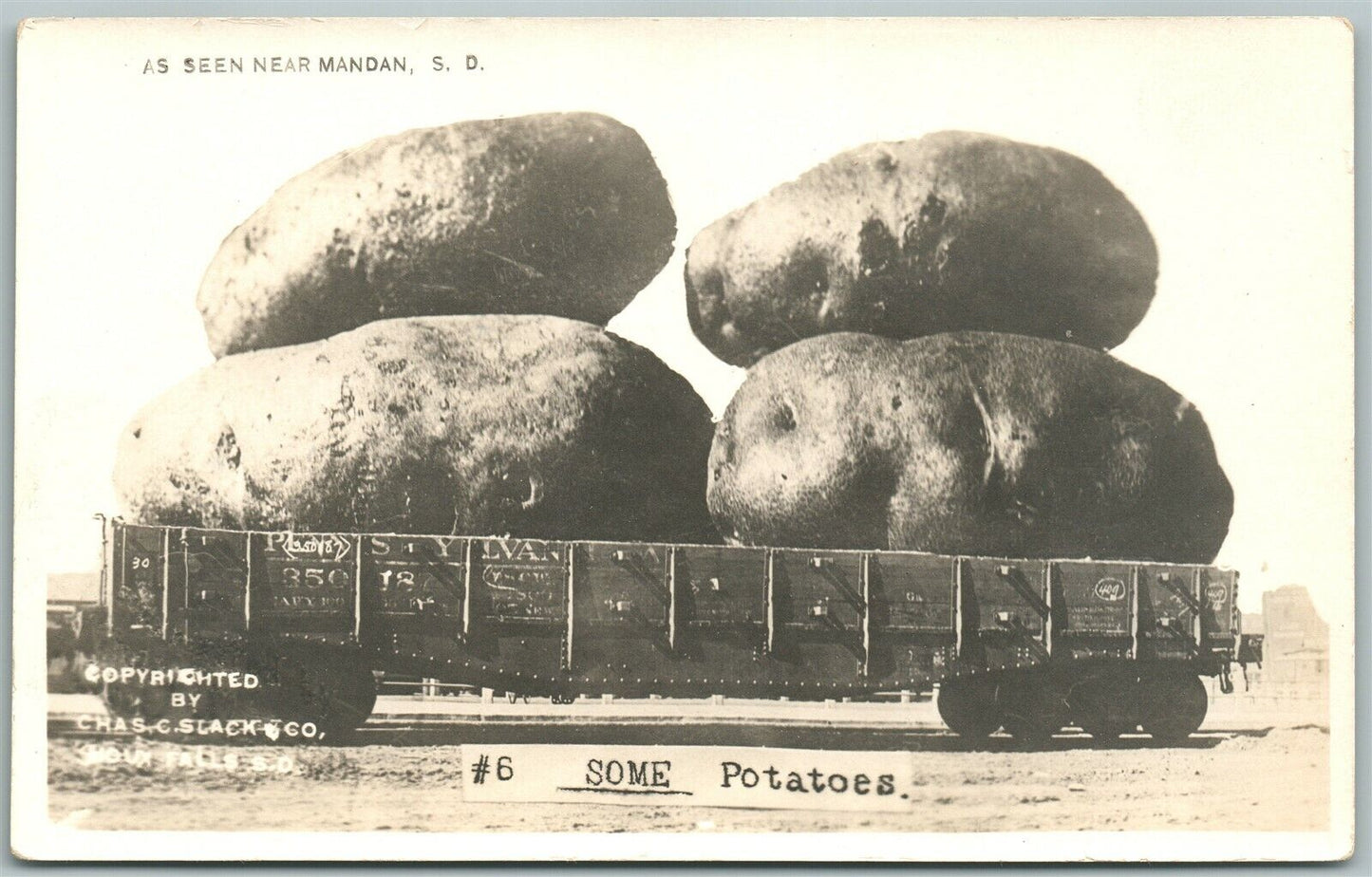 MANDAN S.D. EXAGGERATED POTATOES 1911 ANTIQUE REAL PHOTO POSTCARD RPPC