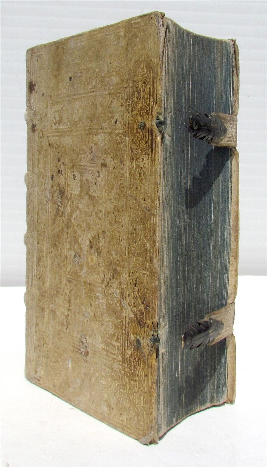 1738 COLUMNA et FIRMAMENTUM VERITATIS antique PIGSKIN BOUND in LATIN